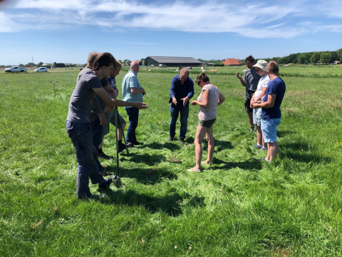 Van Bodemkennis Naar Bodemkunde Fryslân | Projecten Netwerk Platteland